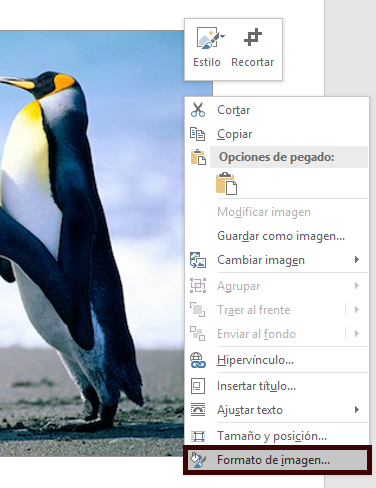 Foto de pinguinos jugando en la arena, se ve como se pulsa con el botó nderecho del ratón y en el menú contextual se pulsa en formato de imagen para especificar texto alternativo